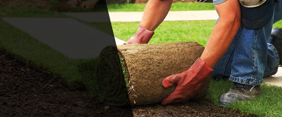 Morrilton Landscapers